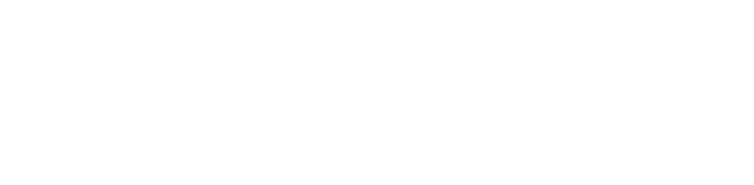 Digitek Vista